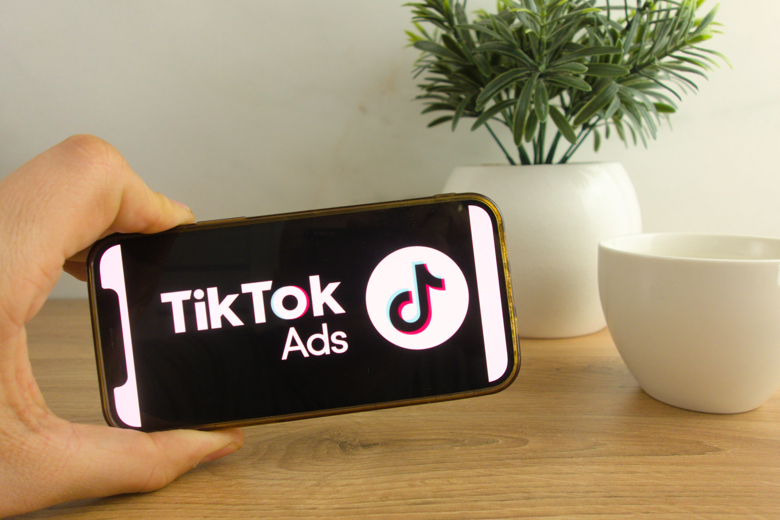 TikTok Advertising – Should You Do It?
